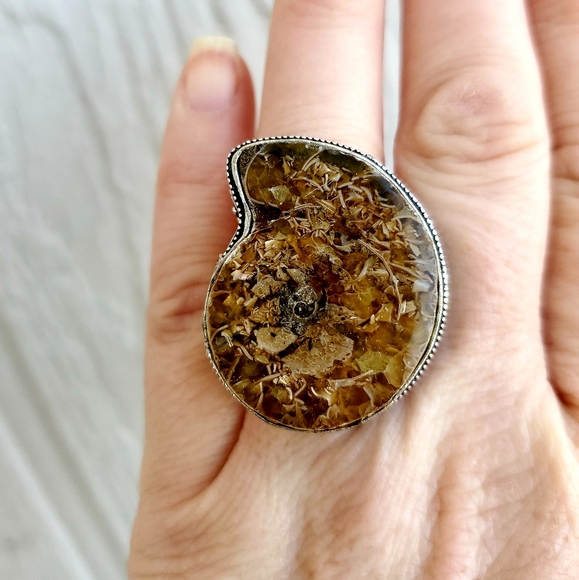 WOW New Ammonite Fossil 925 Silver Statement Ring. - Picture 3 of 8